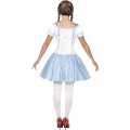 Costume of Dorothy