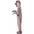 Animal Costime-Meerkat