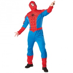 Spiderman Costume - Male