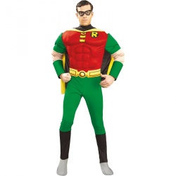 Robin Costume - Male