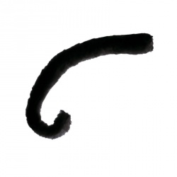 Cat Tail - Black