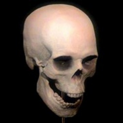 Latex Skeleton Mask - Deluxe