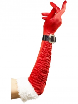 Santa Gloves - Long