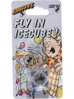 Fly in Ice Cube