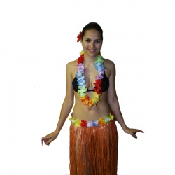 Hawaiian Lei Multicolor