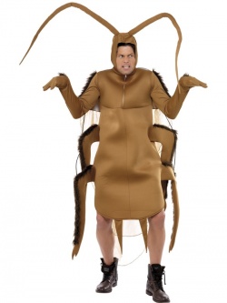 Animal Costume-Cockroach